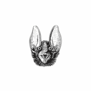 Batshit Crazy Ventures